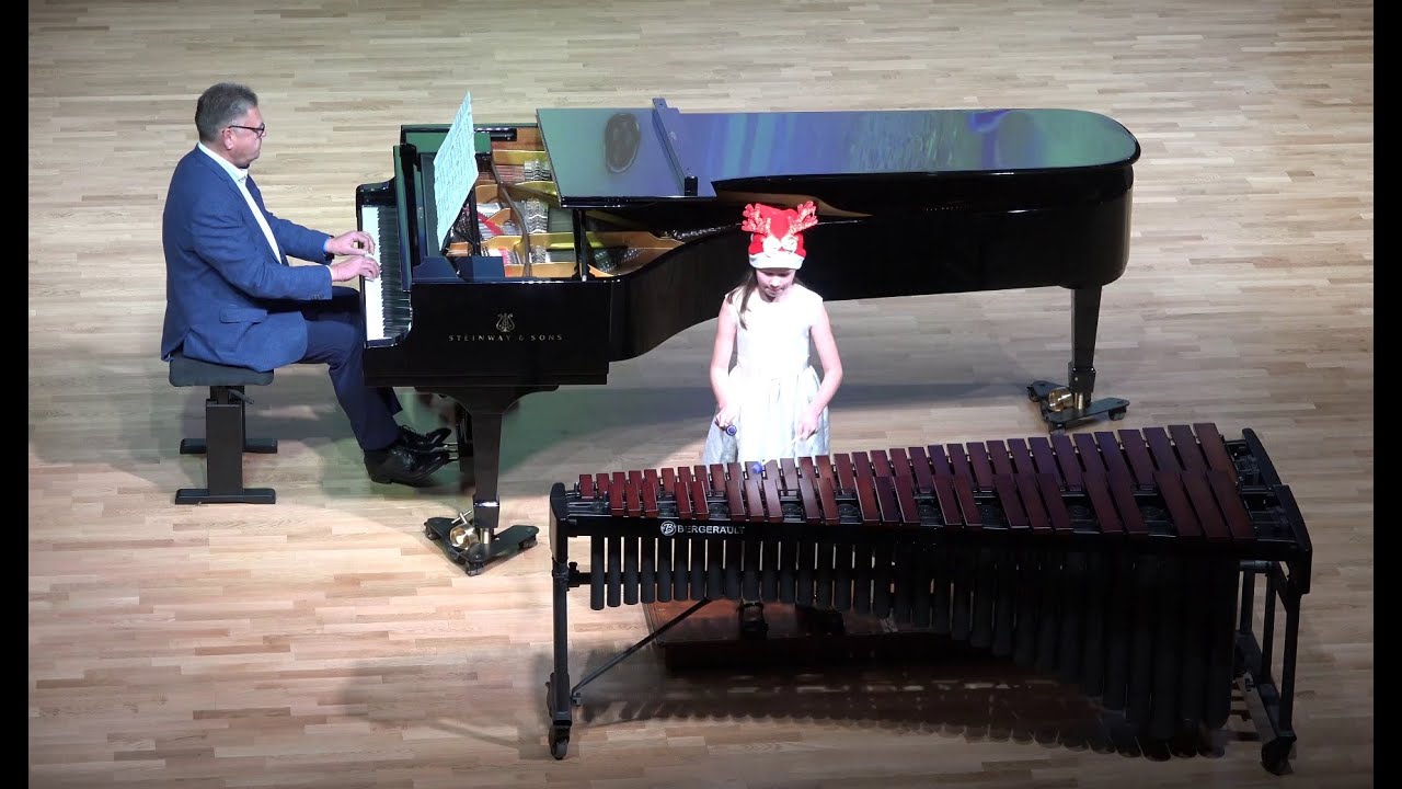 Emīla Dārziņa mūzikas skolas Ziemassvētku koncerts 2024