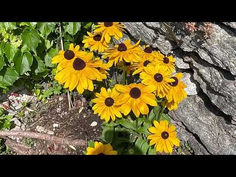 W. Kaiser: Rasa - Centovalli - Ticino - Switzerland