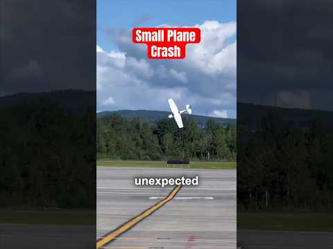 The real story behind this viral video #plane #crash #pilot