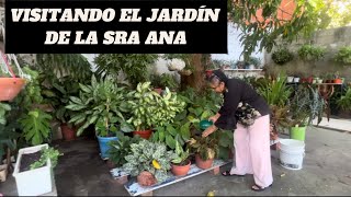 ME FUI PARA EL JARDIN DE LA SRA ANA Y FERTILIZAMOS TODAS LAS PLANTAS
