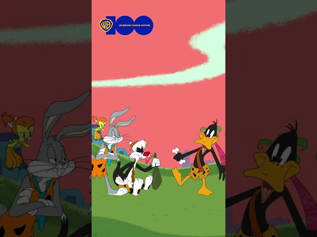 Vídeo relacionado con LOGOVISION WB 100: Blanket, 152 x 127 cm Looney Tunes Casablanca Silky Touch Super Soft Throw Blanket