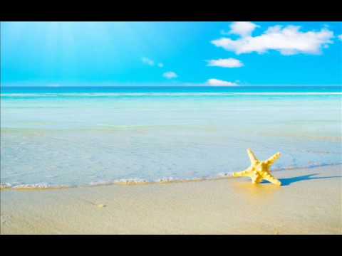 Pitbull - Sexy Beaches (ft.  Chloe Angelides) (BassBoosted) (Spedup)