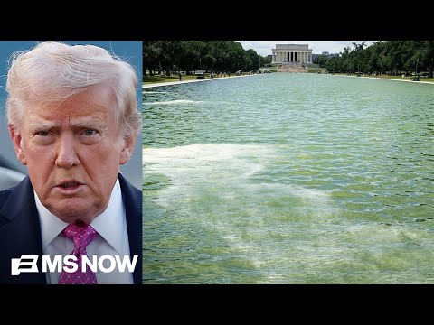 'Puke green': Visitors disappointed with algae-filled Lincoln reflecting pool after $14M renovation