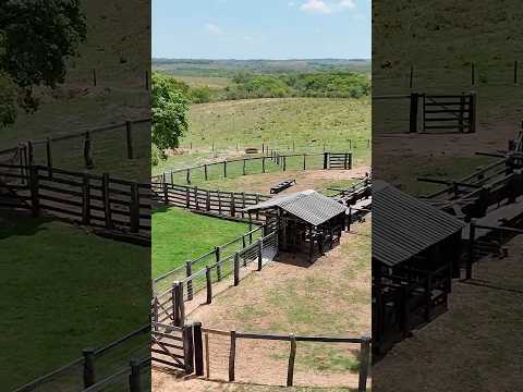 Fazenda com 406 hectares à venda no Mato Grosso do Sul | Camapuã / Areado