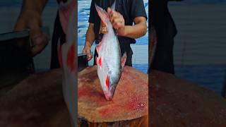 Download lagu Basa fish Pangasius machi #trending #fishcuting #fishcooking #food #viralvideo #instagram #fish mp3