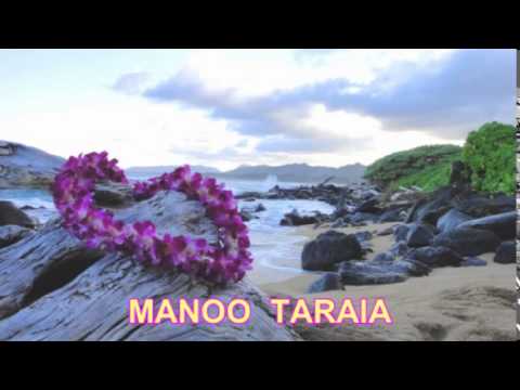 MANOO TARAIA BY BATA TEINAMATI.