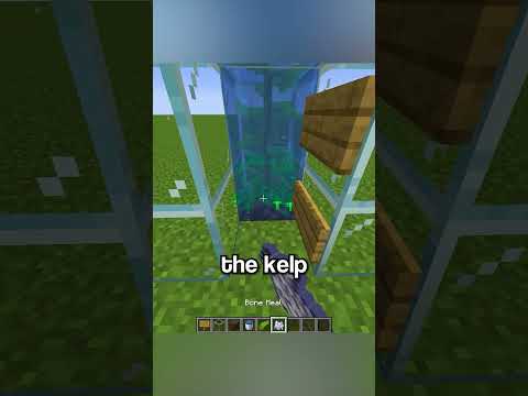 Easy Bubble elevator!