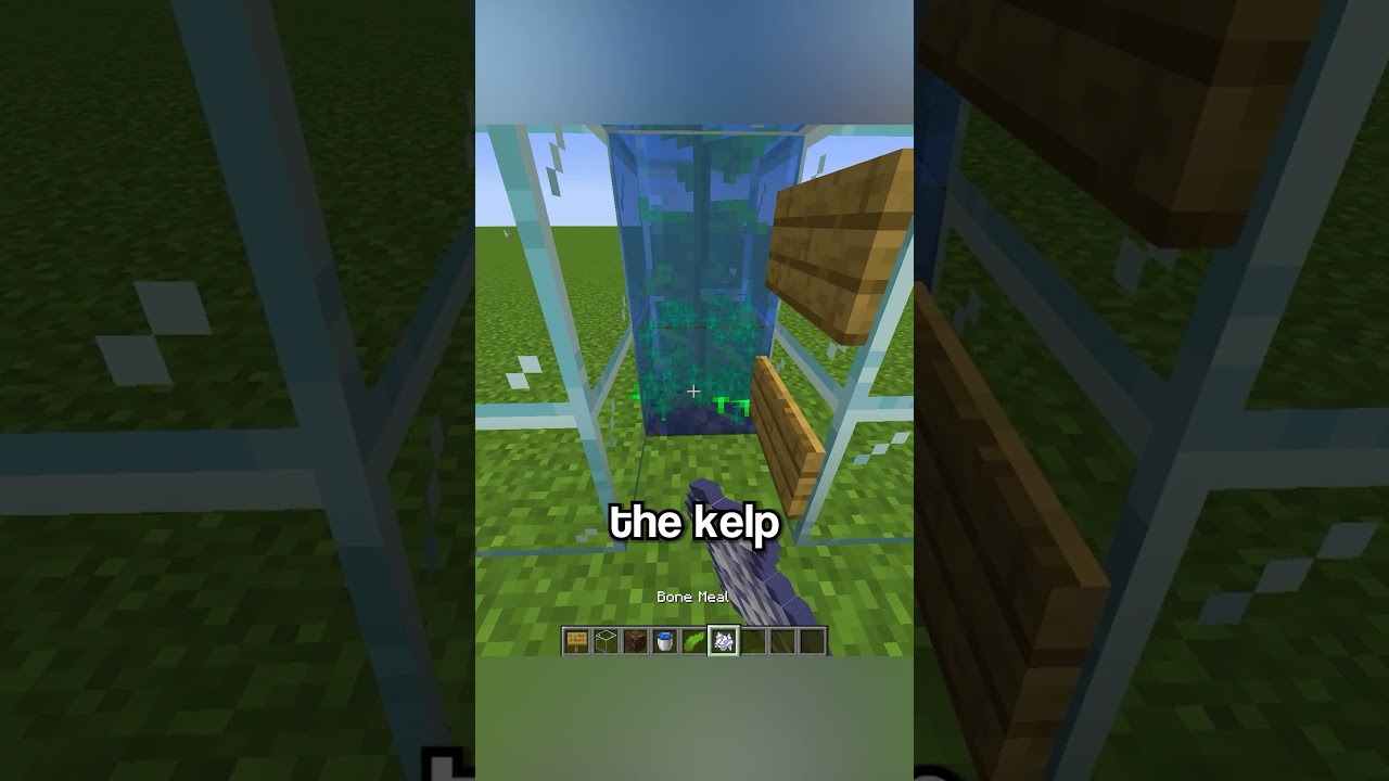 Easy Bubble elevator!