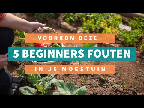 5 veelgemaakte beginnersfouten bij een moestuin (+ hoe je ze voorkomt!) 🌱