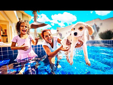 ENSINEI MEU CACHORRINHO JHONI A NADAR * primeira vez dele na piscina *