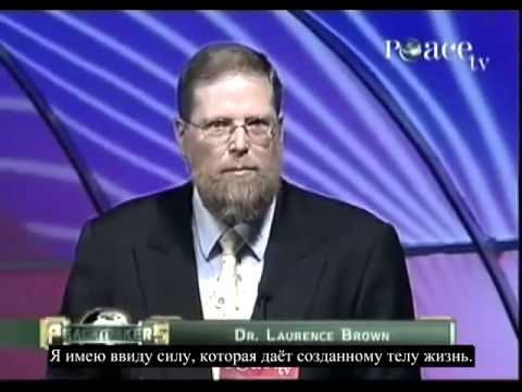 Научное и логическое доказательство того, что Бог существует 