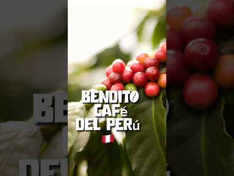 Tierra bendita #cutervo #cajamarca #peru dedicados al cultivo del #cafe #perufood #coffee #love