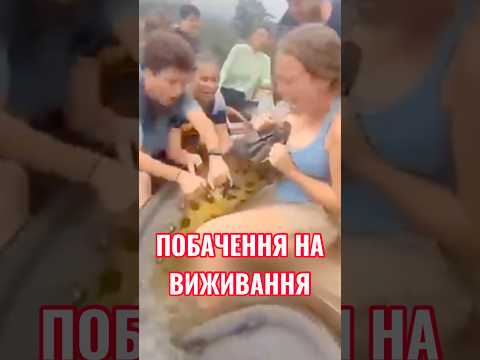 Королева боліт: 200 кг м'язів і жодних аліментів! 🐍😂 #shorts