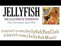 Jellyfish - The Glutton of Sympathy