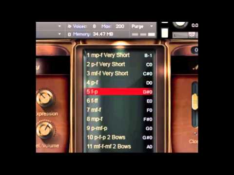 8Dio Adagio Violas Divisi Sordino Dynamic Bowings