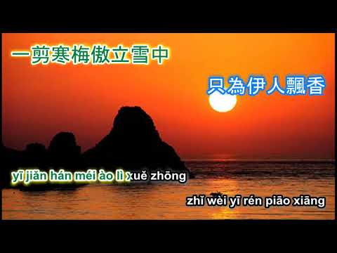 一剪梅 Yi jian mei - karaoke