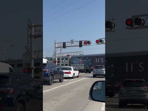 Metra train in Arlington park #metrarail #railway #metra
