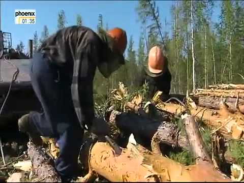 Der Jenissei - Sibiriens Schicksalsstrom - Die Nachfahren der Verbannten Teil 2