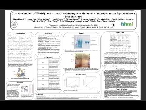 <p><span style="color: rgb(0, 0, 0);">Characterization of wild-type and leucine-binding site mutants of Isopropylmalate Synthase from </span><em style="color: rgb(0, 0, 0);">Brassica rapa</em></p>