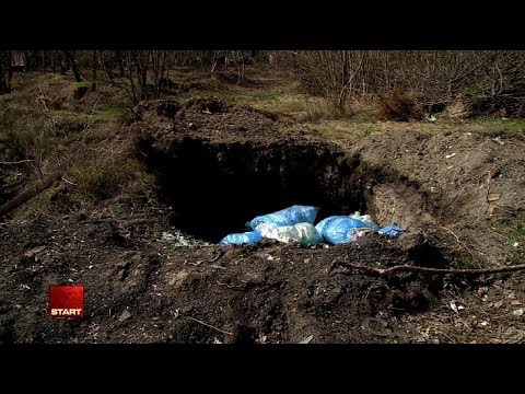 mérgező sashera méz a Plasmodium malária életciklusa röviden