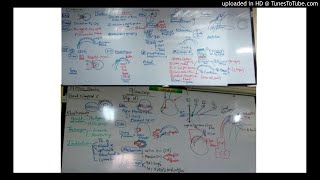 9) Dr.Wael Salah (Ptyregium Symblephron -Glaucoma 1)