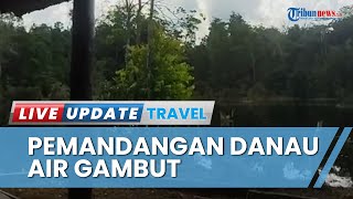 Lelah Perjalanan? Yuk Santai di Pondok Tepi Danau Landa Kalbar, Nikmati Rest Area Hijau nan Sejuk