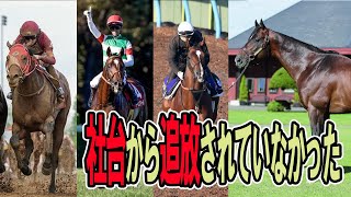 「社台追放されていなかった」活躍がヤバい種牡馬リアルスティールについて解説