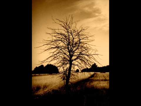 PROBLEM x WikSon - Refleksje