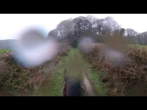 Woah Shamrock! Rider loses control of retired racehorse.