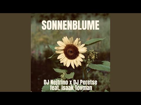 Sonnenblume