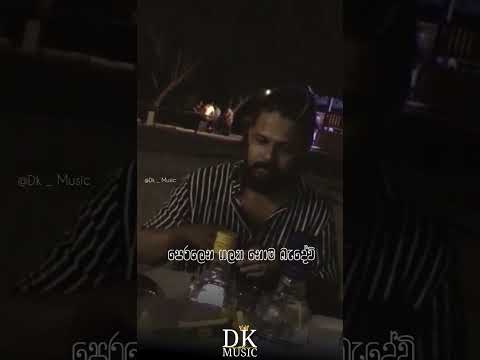 Hotdogs #kinglotus #spmp #doctorbsking #dkmusic #hotdog #shana #shanputha #magampura #bsking #king