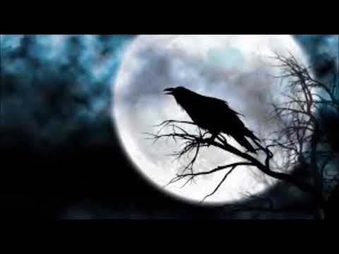 JODIDO VELEZANO - CUERVO