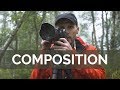 Composition in Woodland Photography