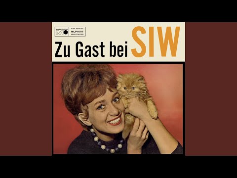 Schwarzer Kater Stanislaus