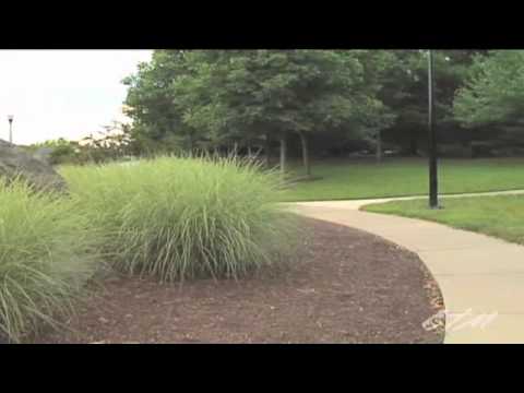 The View at Mill Run Apartments in Owings Mills, MD - ForRent.com