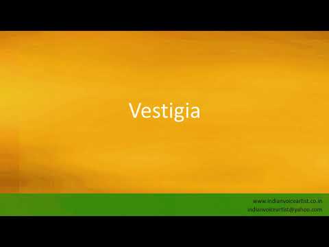 Pronunciation of the word(s) "Vestigia".