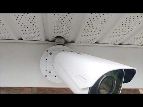 Yellow Jackets Harbor Above Security Camera in Edison, NJ