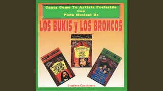 Dejame Amarte Otra Vez