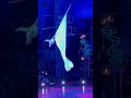 Big Apple Circus New York