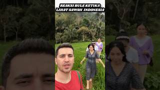 Download lagu WEST JAVANESE REACTION WHEN SEEING RICE FIELDS IN INDONESIA mp3