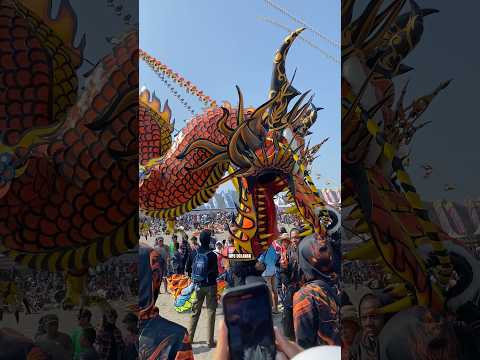 GIANT DRAGON KITE 100m plus SAMURAI PIECES