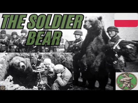 Wojtek - The Soldier Bear Who Fought in World War II 🐻🪖