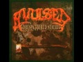 Avulsed Gorespattered Suicide Full Album