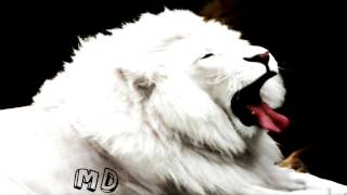 Download lagu Carefree - DeKobe - NCS - [MD Tunes] mp3