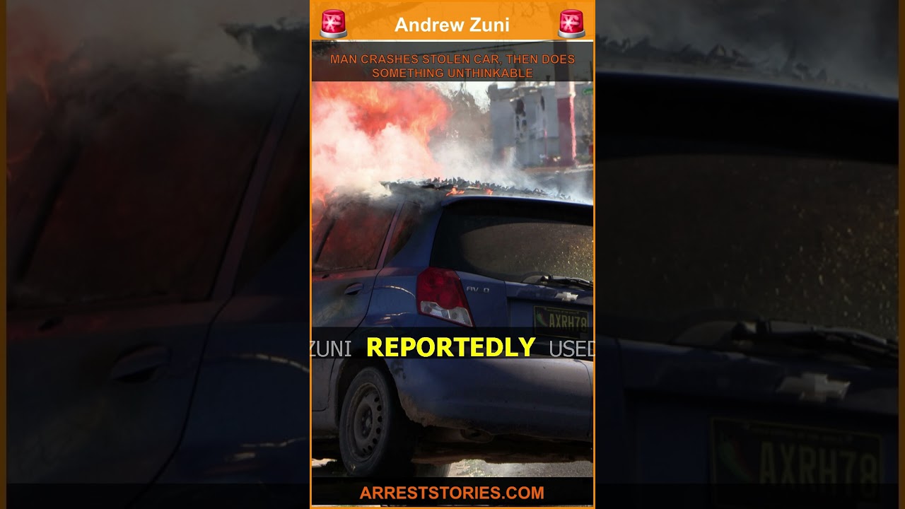 MAN CRASHES STOLEN CAR, THEN DOES SOMETHING UNTHINKABLE