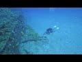 Diving Coin De Mire With Ocean Spirit In Mauritius