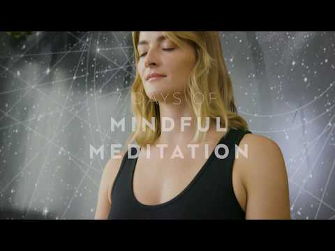 7 Days of Mindful Meditation