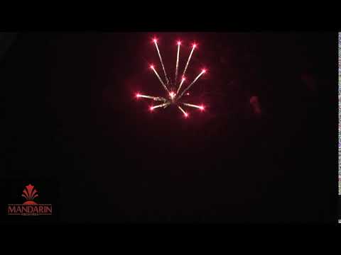 17)  4" display shell