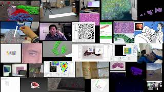 Ask me anything about digital pathology