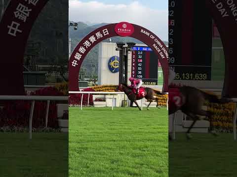 Who’s ready?! Rematch in the HK Mile #HKIR 😳 Golden Sixty vs California Spangle